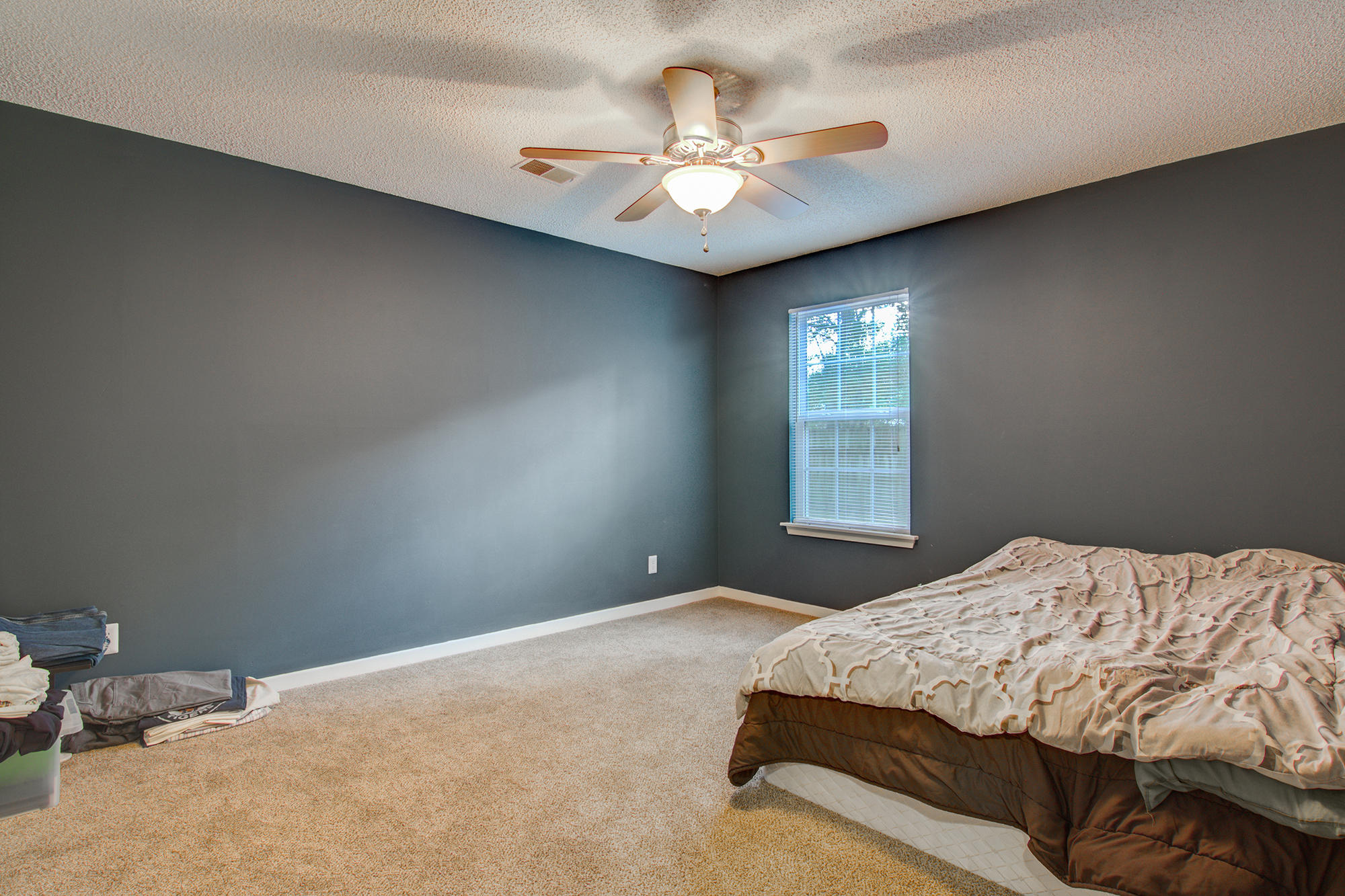 106 Coventry Road Summerville, SC 29486 - Photo 9 of 19 Master Bedroom