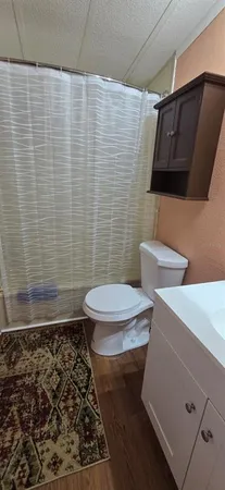 a bathroom with a toilet and a shower curtain