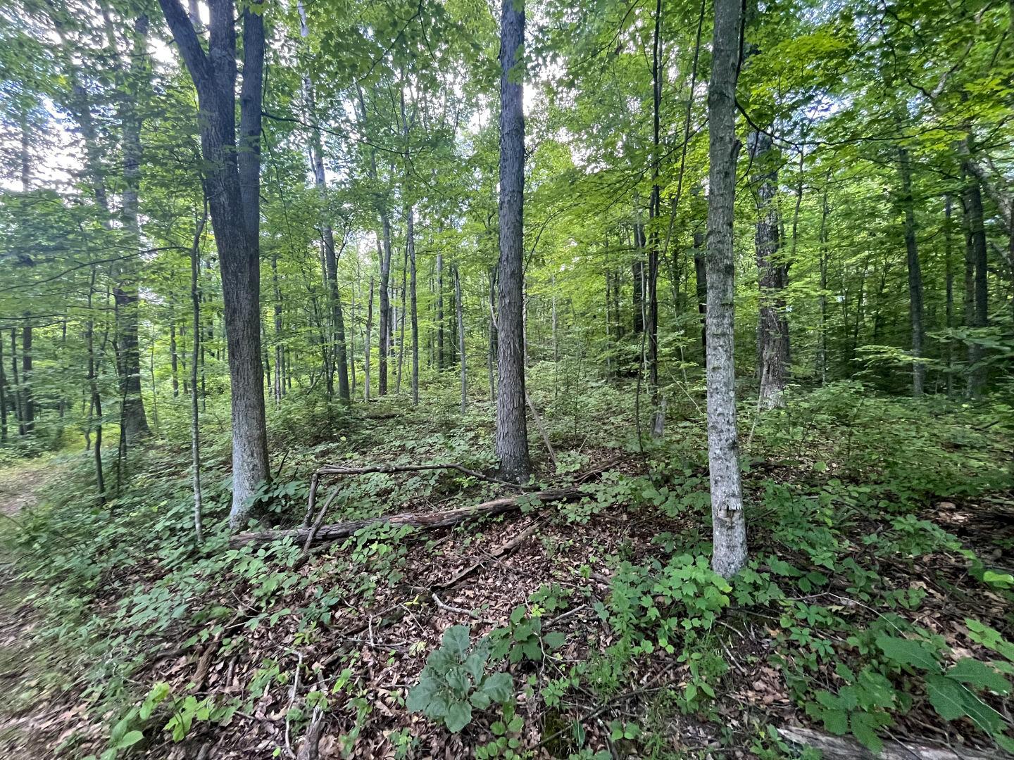 0 Water Works Hill Road Glouster, OH 45732 - Photo 22 of 35 21
