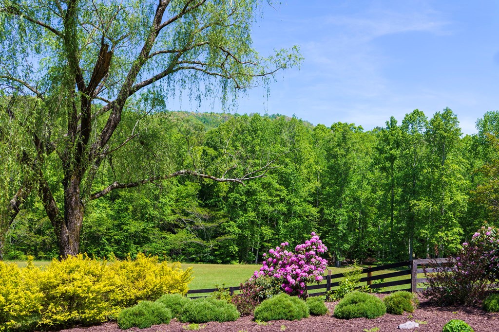 1115 Outlook Road Murphy, NC 28906 - Photo 52 of 73 Gallery Image 52