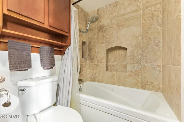 a bathroom with a toilet and a bathtub
