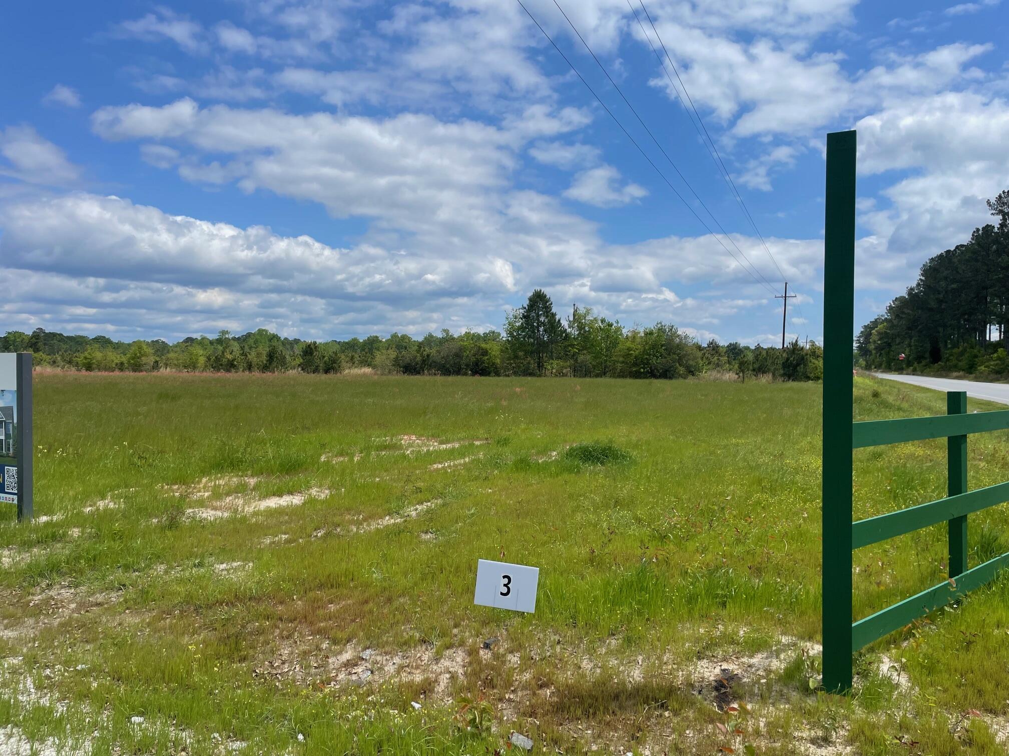 105 Rambling Lane Cross, SC 29436 - Photo 2 of 10 IMG_7252