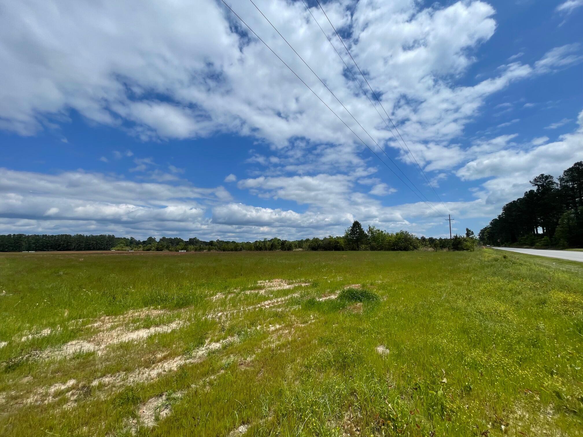 105 Rambling Lane Cross, SC 29436 - Photo 3 of 10 IMG_7253