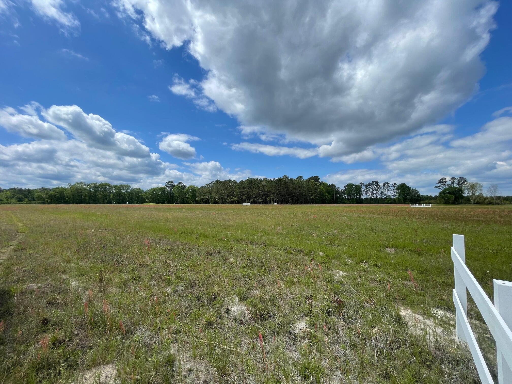 105 Rambling Lane Cross, SC 29436 - Photo 5 of 10 IMG_7255