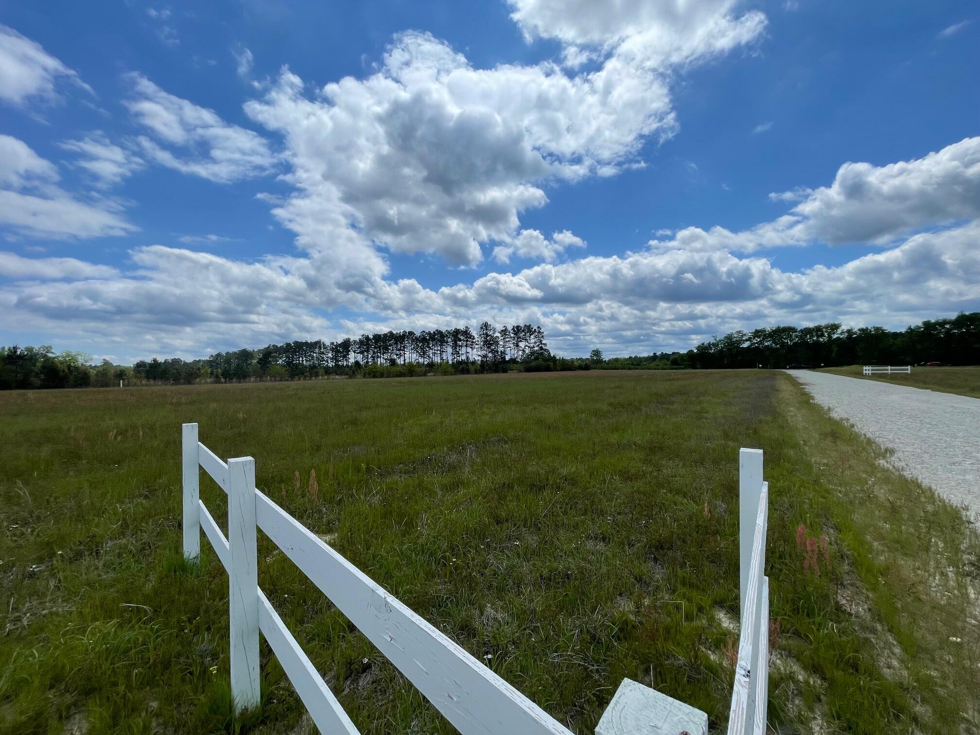 105 Rambling Lane Cross, SC 29436 - Photo 6 of 10 IMG_7256