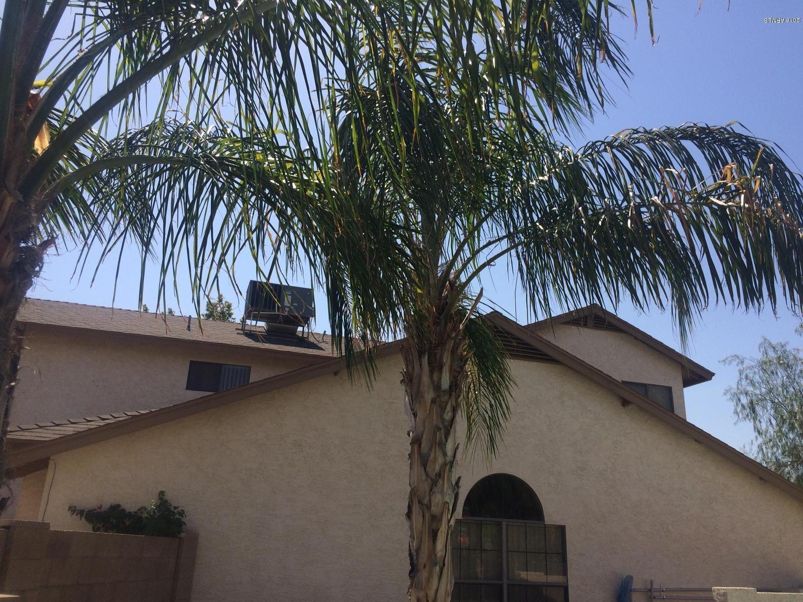 608 West Devon Court Gilbert, AZ 85233 - Photo 62 of 84 IMG_1900