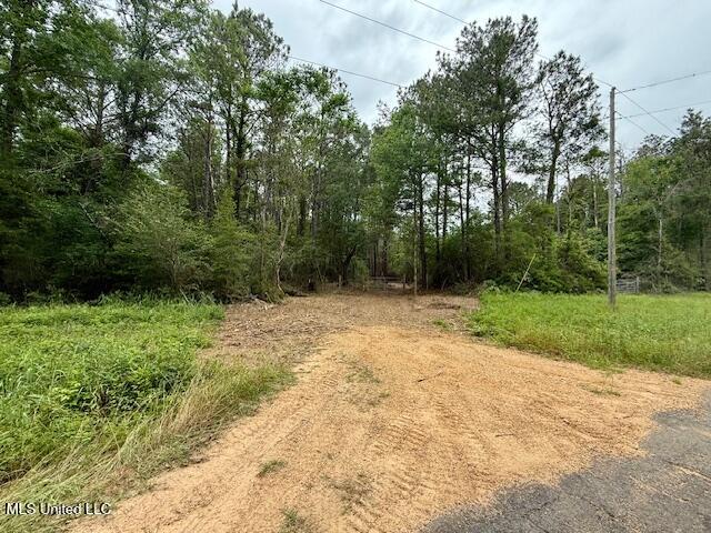 Mt Herman Road Osyka, MS 39657 - Photo 12 of 53 IMG_5433