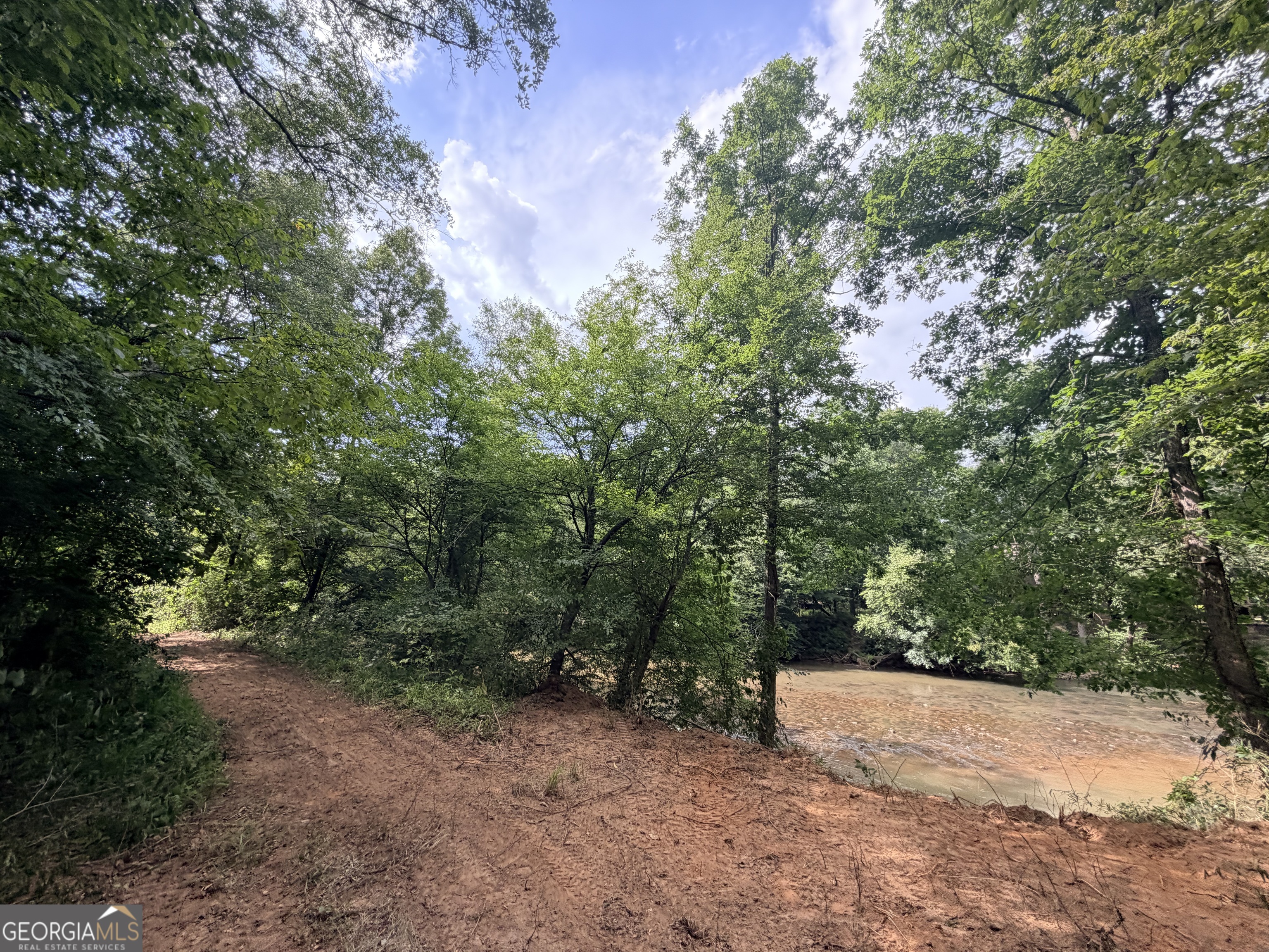 1590 James Adams Road Danielsville, GA 30633 - Photo 79 of 98