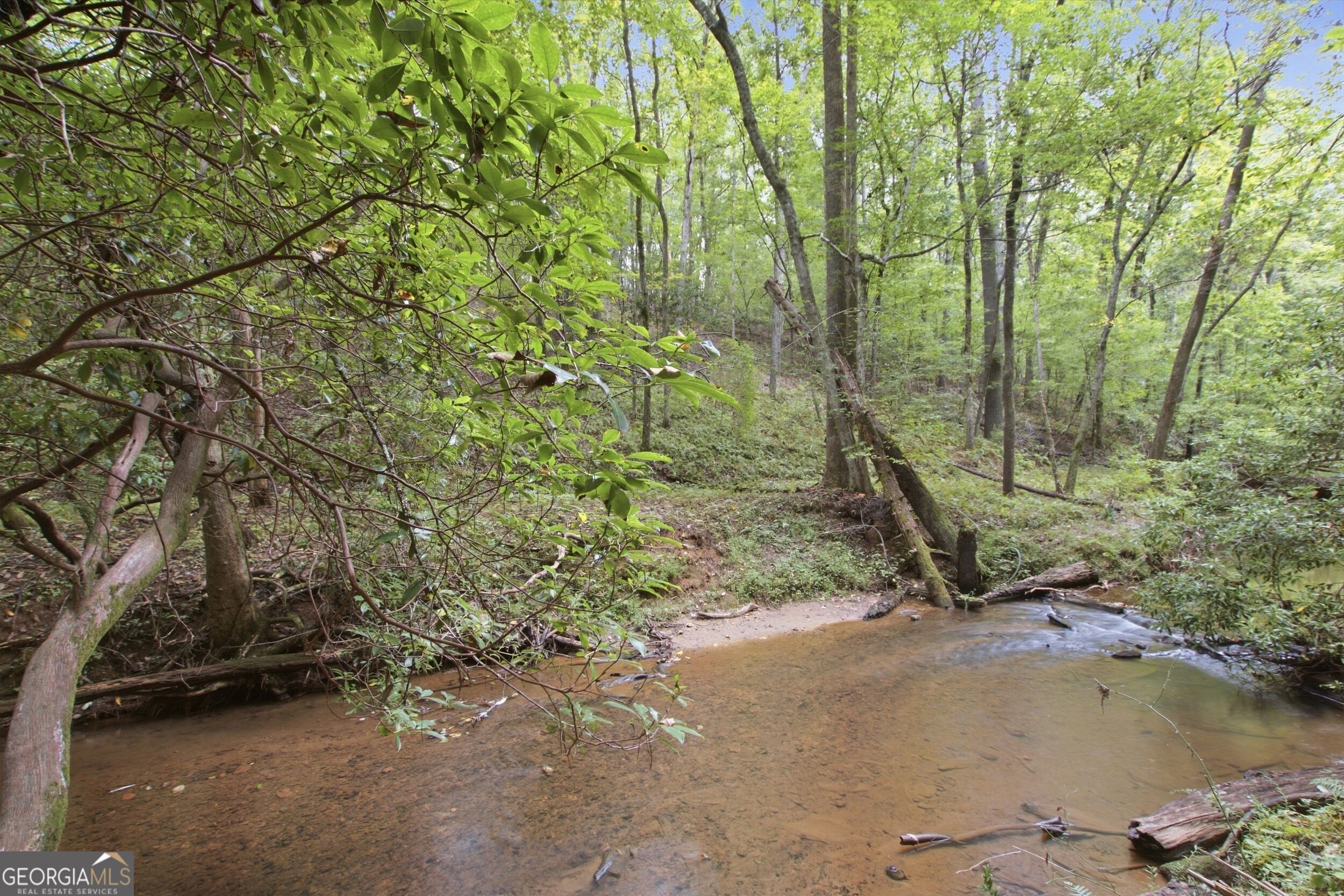 1582 Jennys Cove Road Cleveland, GA 30528 - Photo 2 of 27 Gallery Image 2
