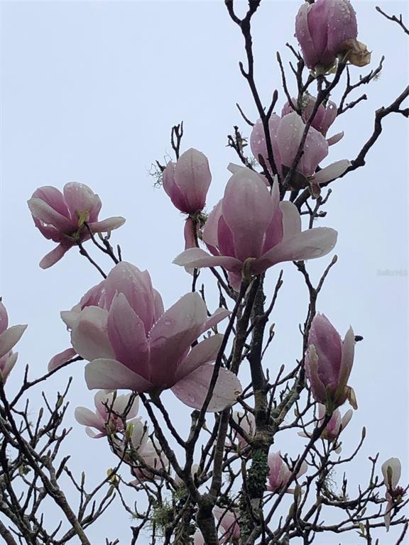 7011 Southwest 170th Street Archer, FL 32618 - Photo 27 of 35 a view of a livingroom with furniture and furniture