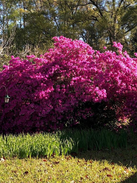 7011 Southwest 170th Street Archer, FL 32618 - Photo 28 of 35