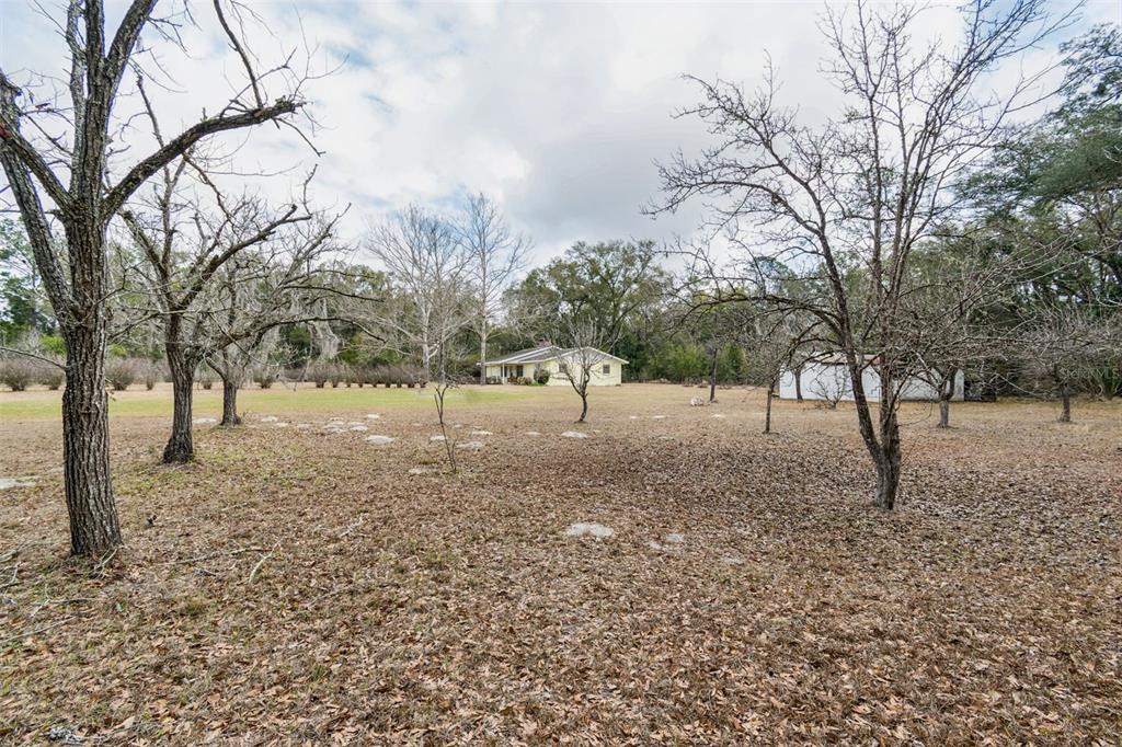 7011 Southwest 170th Street Archer, FL 32618 - Photo 33 of 35 a view of outdoor space with trees