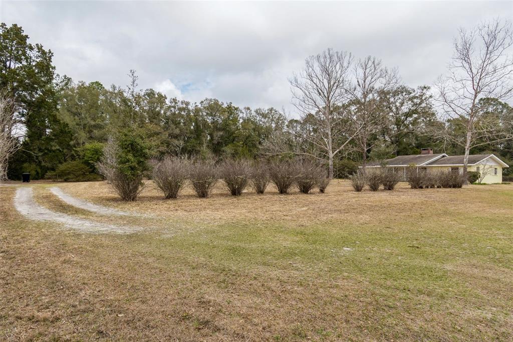 7011 Southwest 170th Street Archer, FL 32618 - Photo 34 of 35 a view of road and with trees
