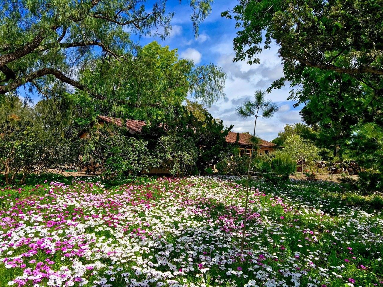 5770 El Montevideo Rancho Santa Fe, CA 92067 - Photo 25 of 25