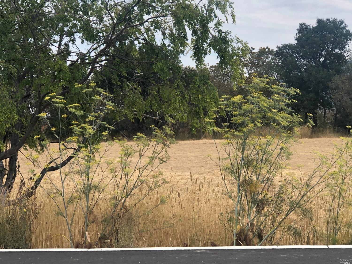 1333 Keiser Avenue Santa Rosa, CA 95404 - Photo 1 of 1 Gallery Image 1