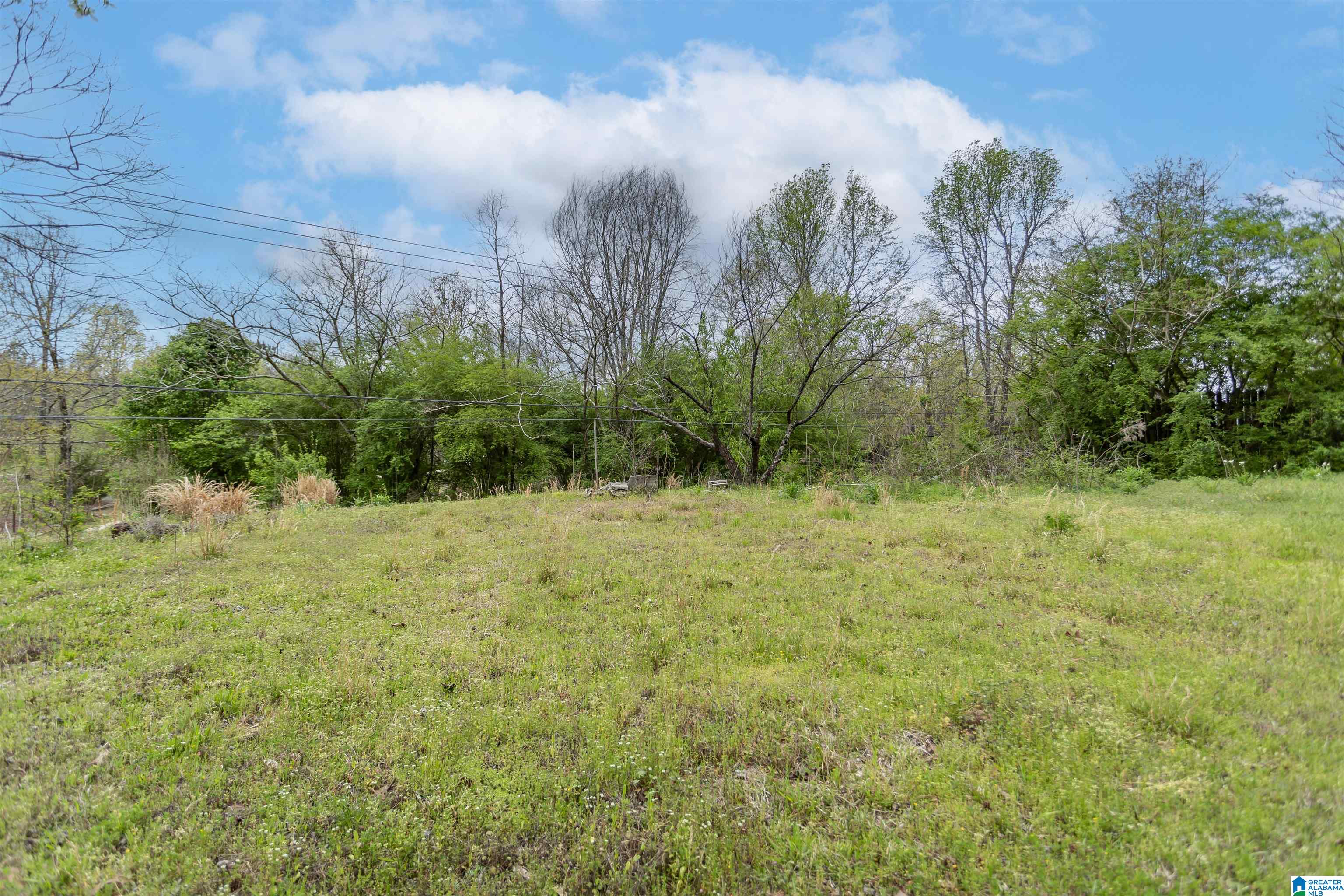 1486 Self Creek Road Morris, AL 35116 - Photo 37 of 40