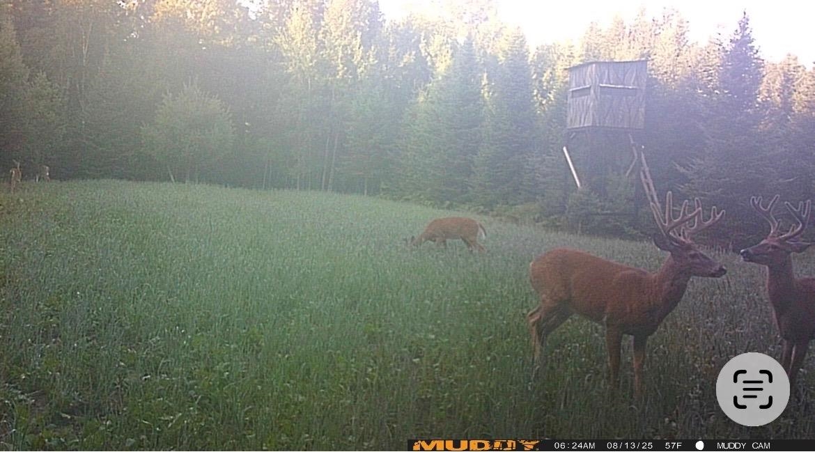Red Hickory Road Eland, WI 54427 - Photo 26 of 28