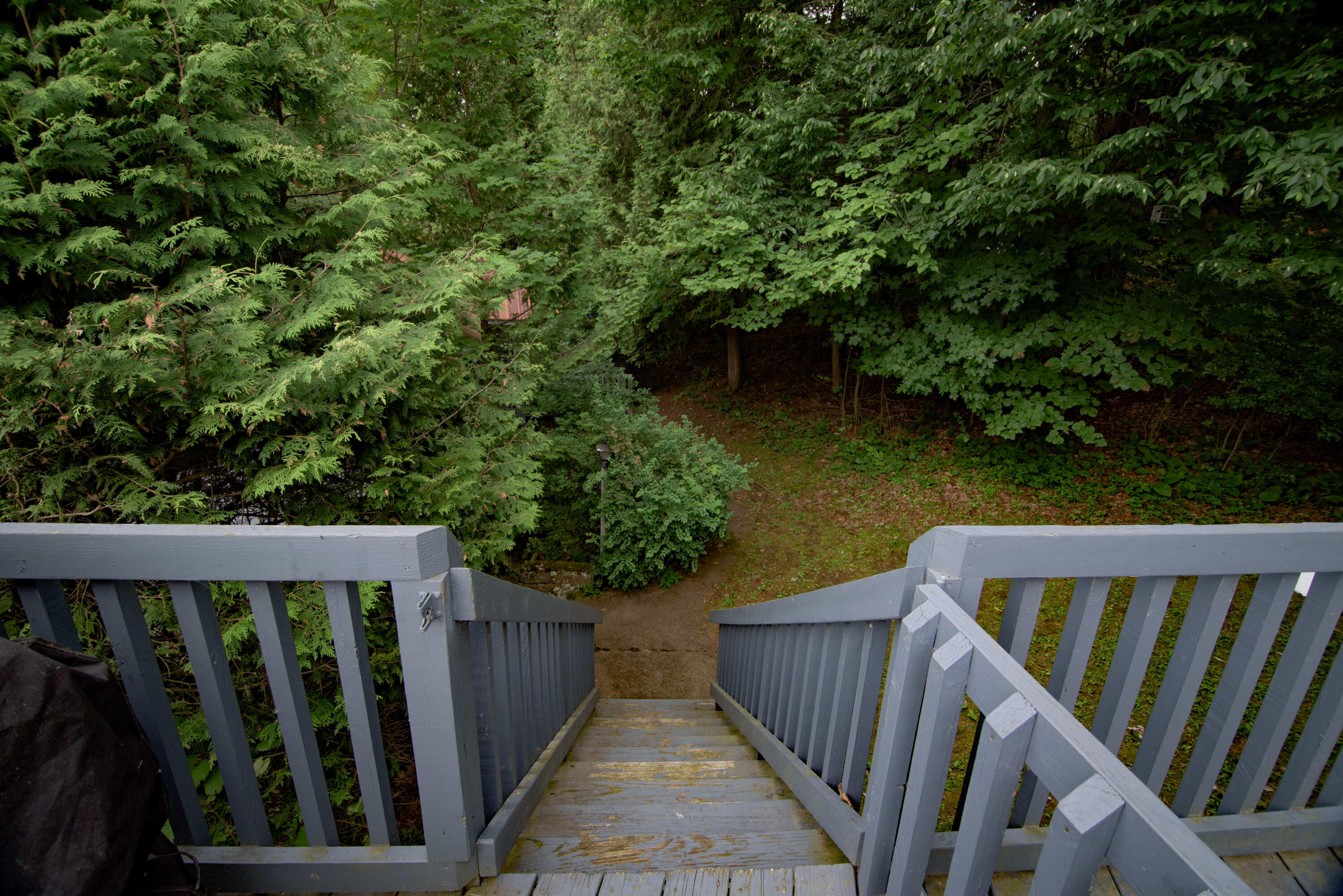 213 Corlear Bay Road Keeseville, NY 12944 - Photo 9 of 62