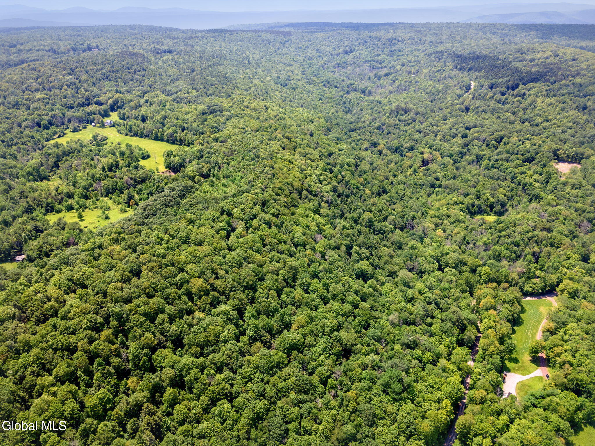 255 Lassen Road Broome, NY 12122 - Photo 1 of 15 1-LassenRd_01