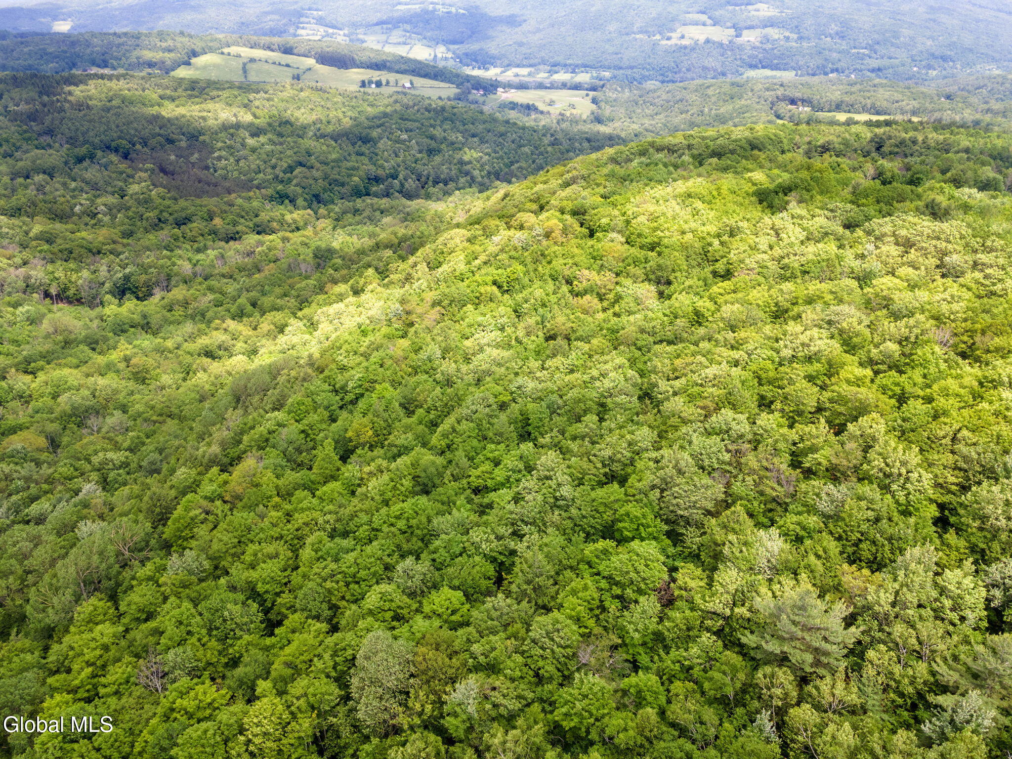 255 Lassen Road Broome, NY 12122 - Photo 11 of 15 11-LassenRd_11