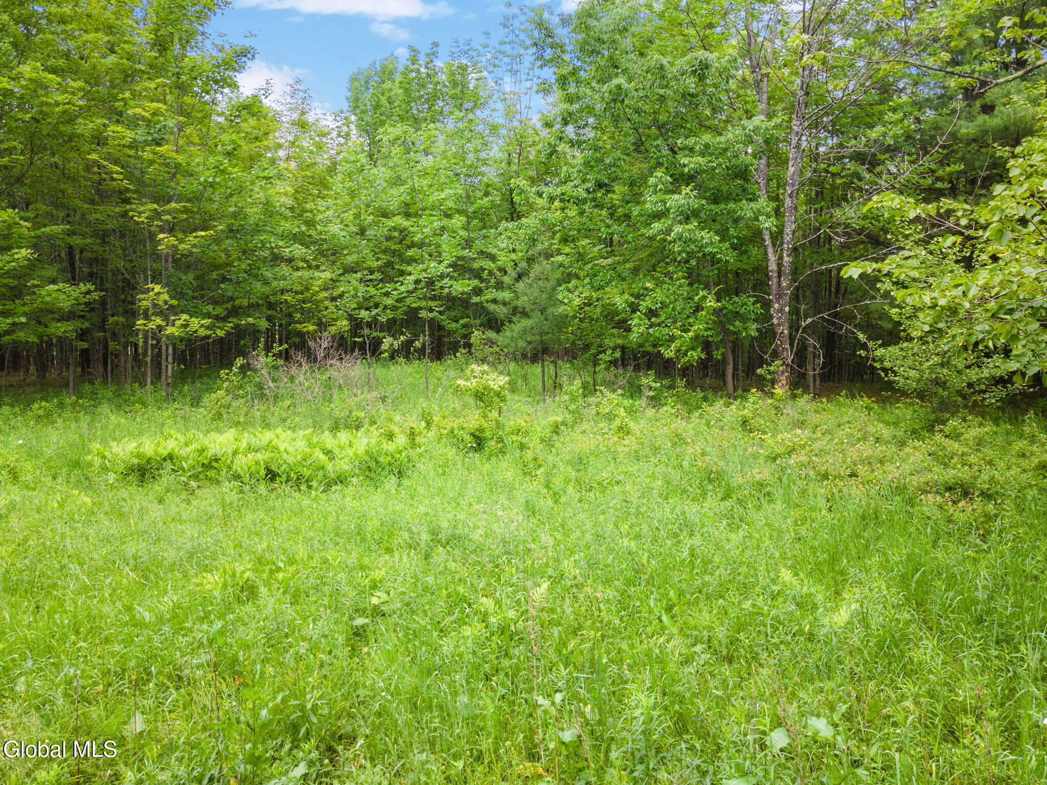 255 Lassen Road Broome, NY 12122 - Photo 2 of 14 13-LassenRd_13