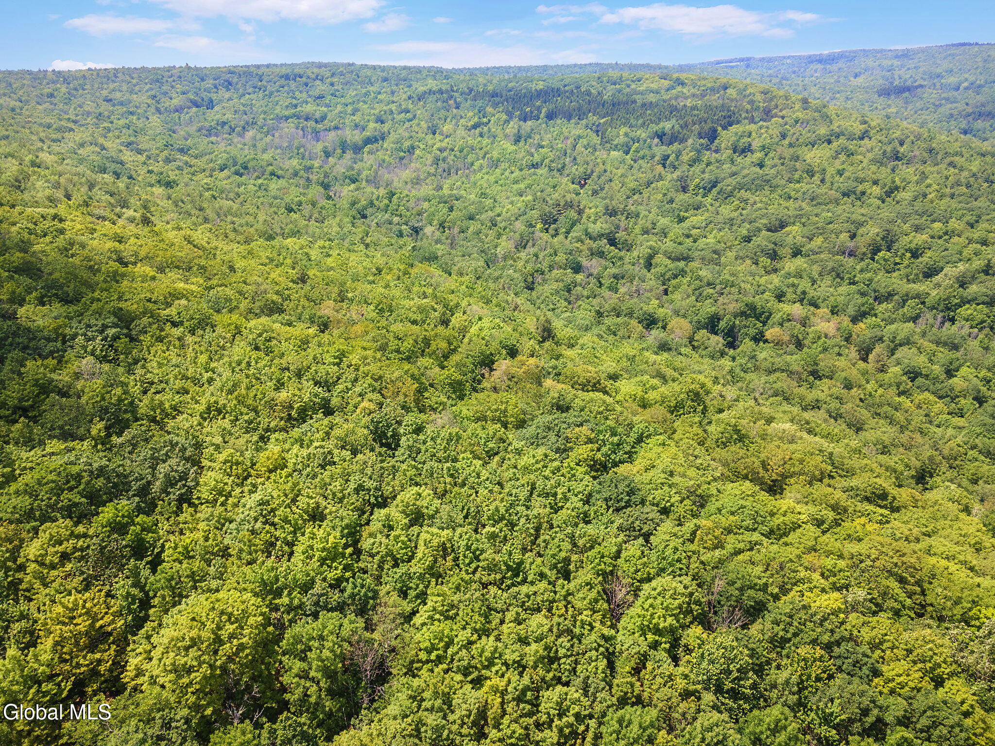 255 Lassen Road Broome, NY 12122 - Photo 4 of 15 4-LassenRd_04