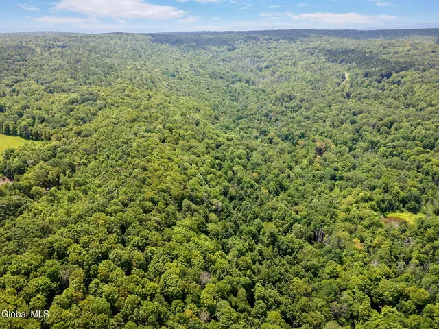 $299,900 | 255 Lassen Road, Broome, NY 12122