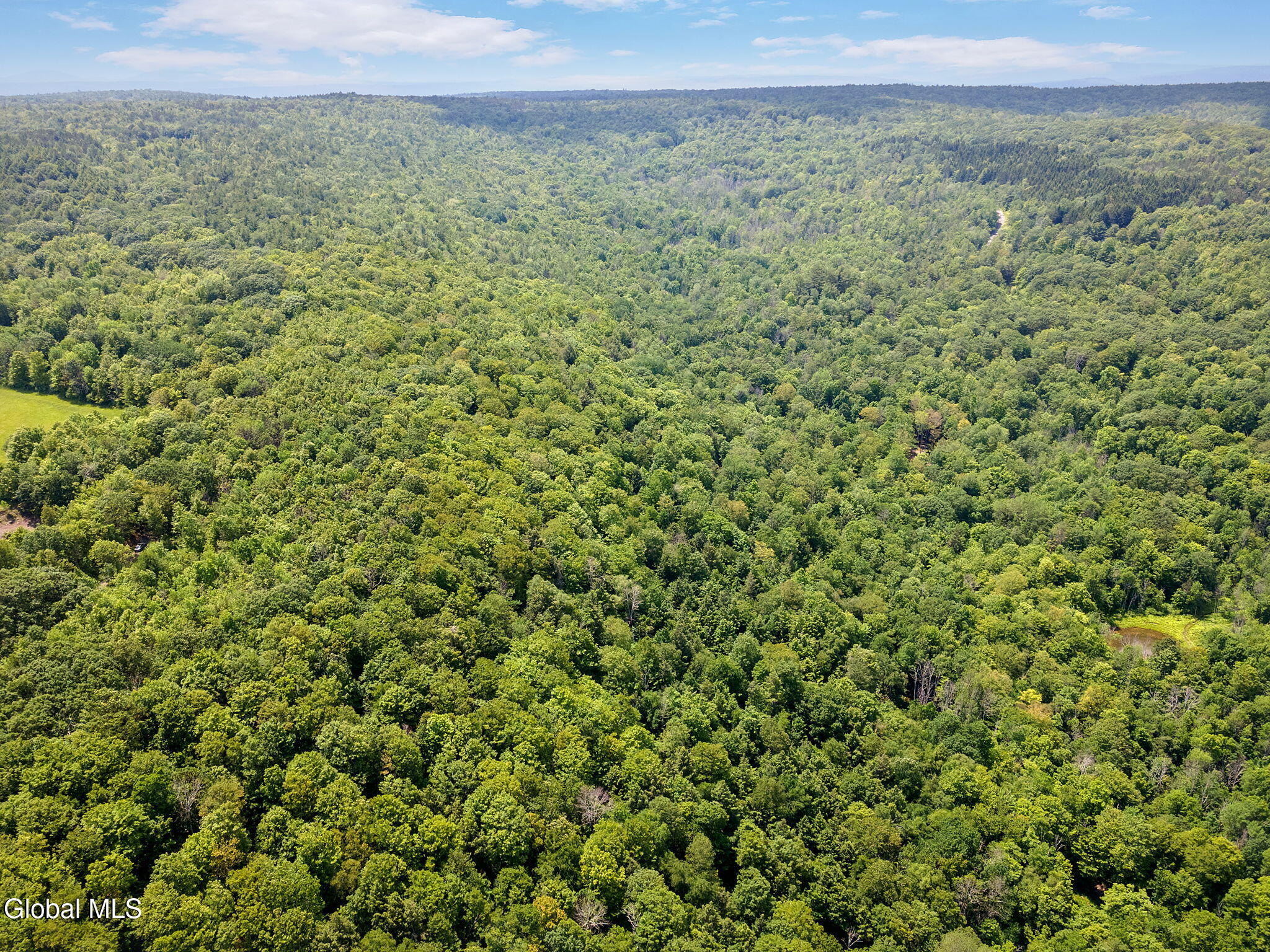 255 Lassen Road Broome, NY 12122 - Photo 7 of 15 7-LassenRd_07