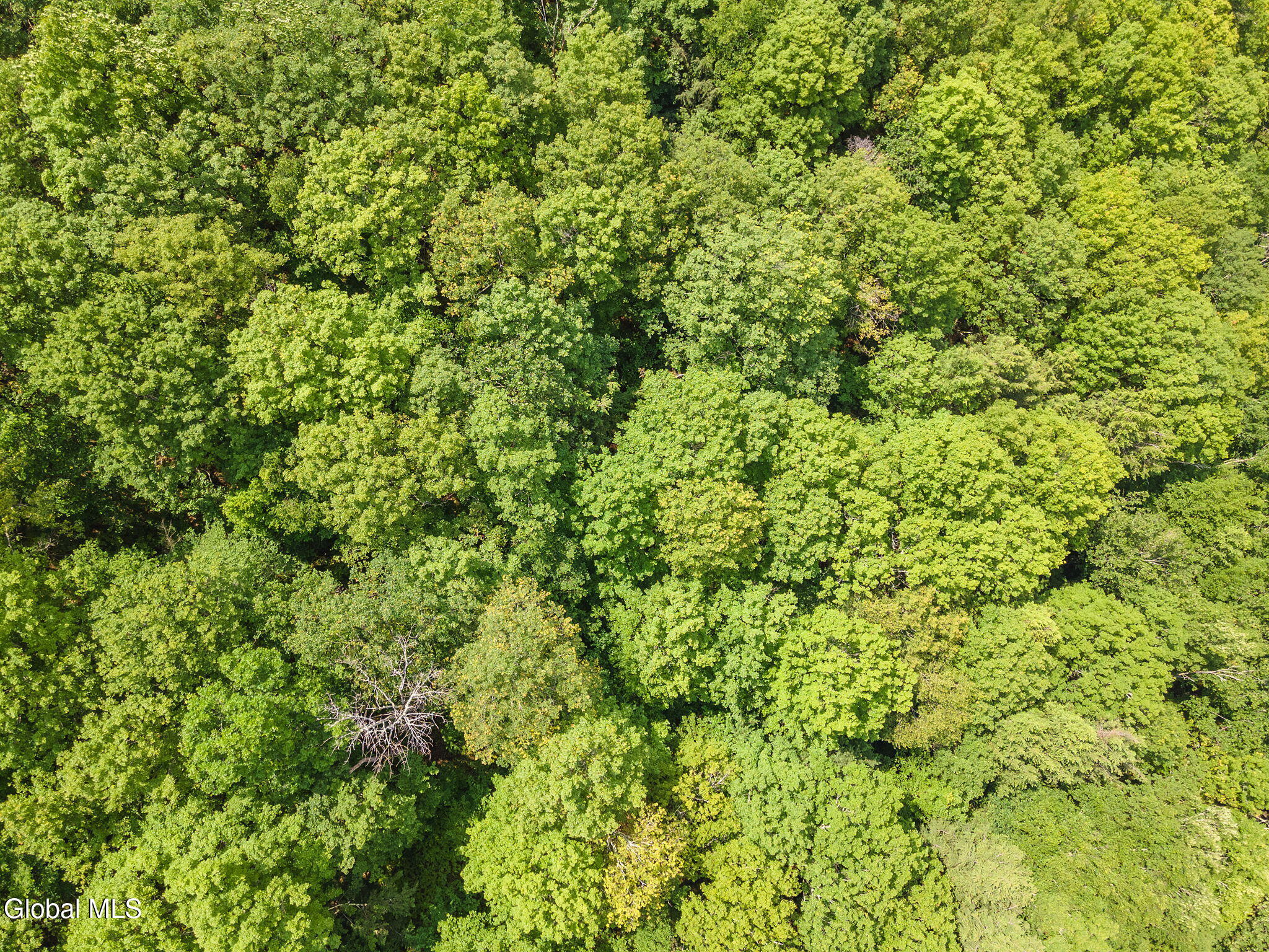 255 Lassen Road Broome, NY 12122 - Photo 8 of 15 8-LassenRd_08