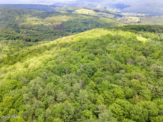 $299,900 | 255 Lassen Road, Broome, NY 12122