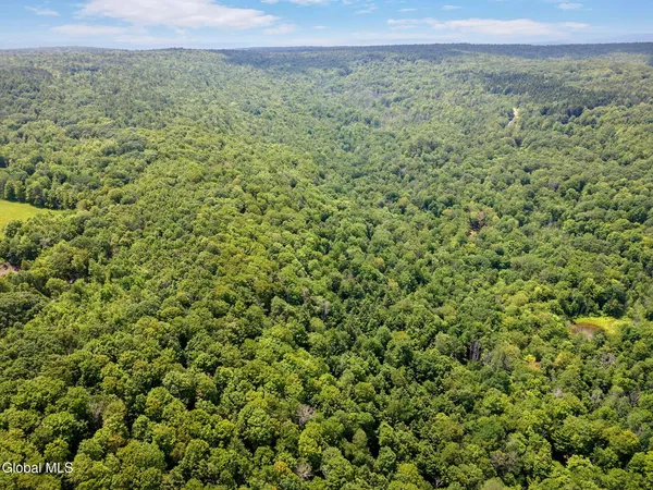 $279,900 | 255 Lassen Road, Broome, NY 12122