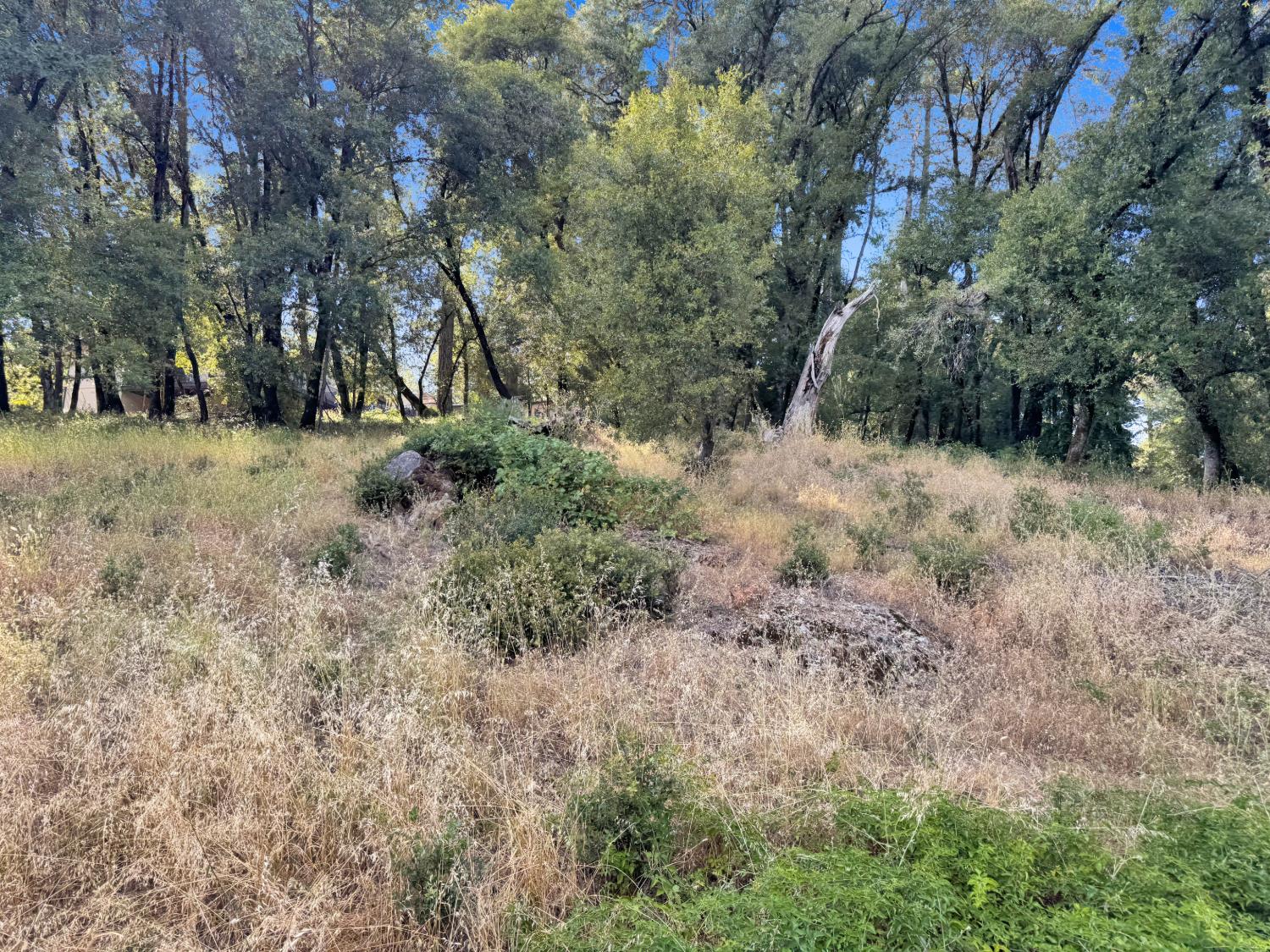 15340 Brewer Road Grass Valley, CA 95949 - Photo 6 of 8