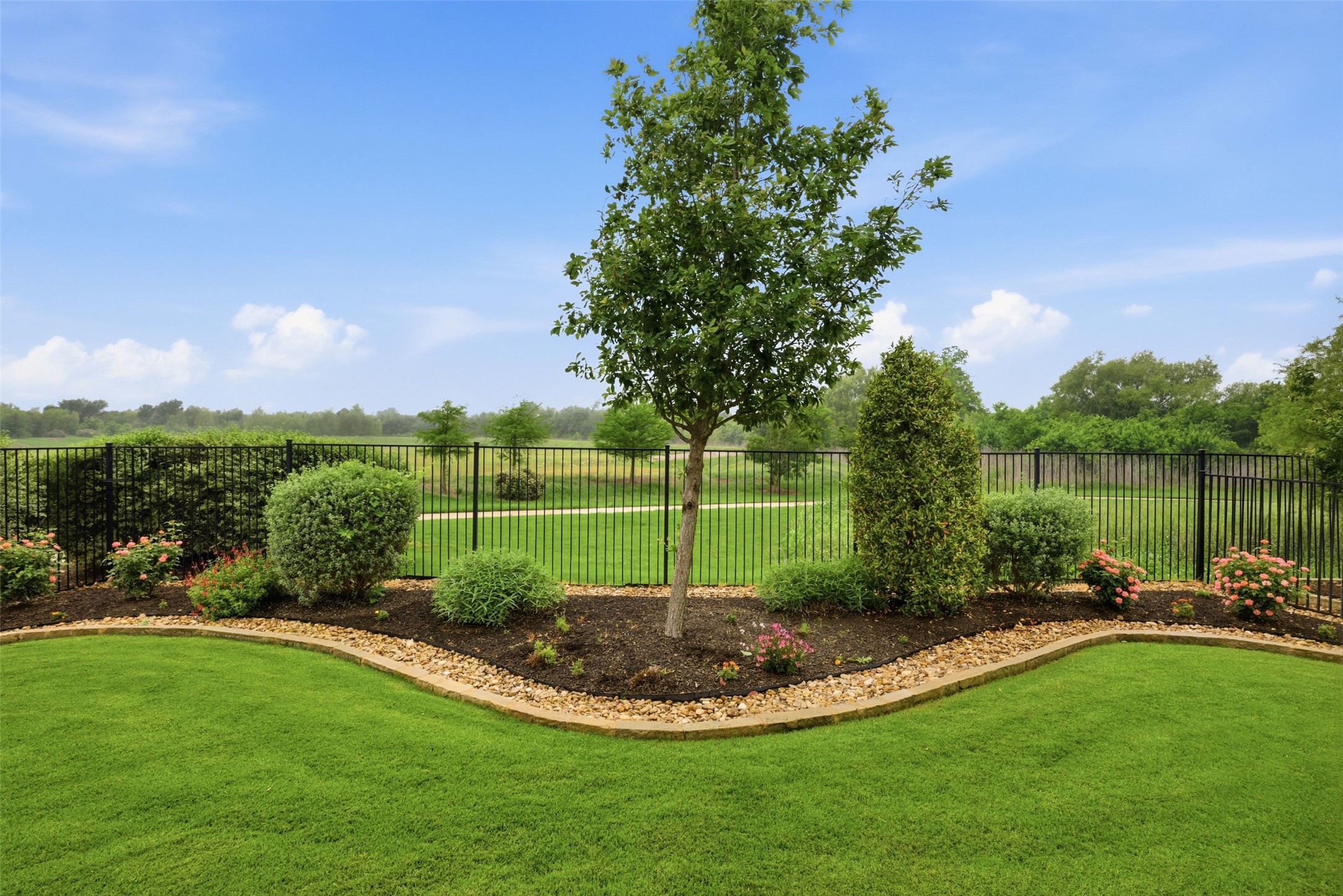 5100 Lusso Cove Round Rock, TX 78665 - Photo 5 of 39