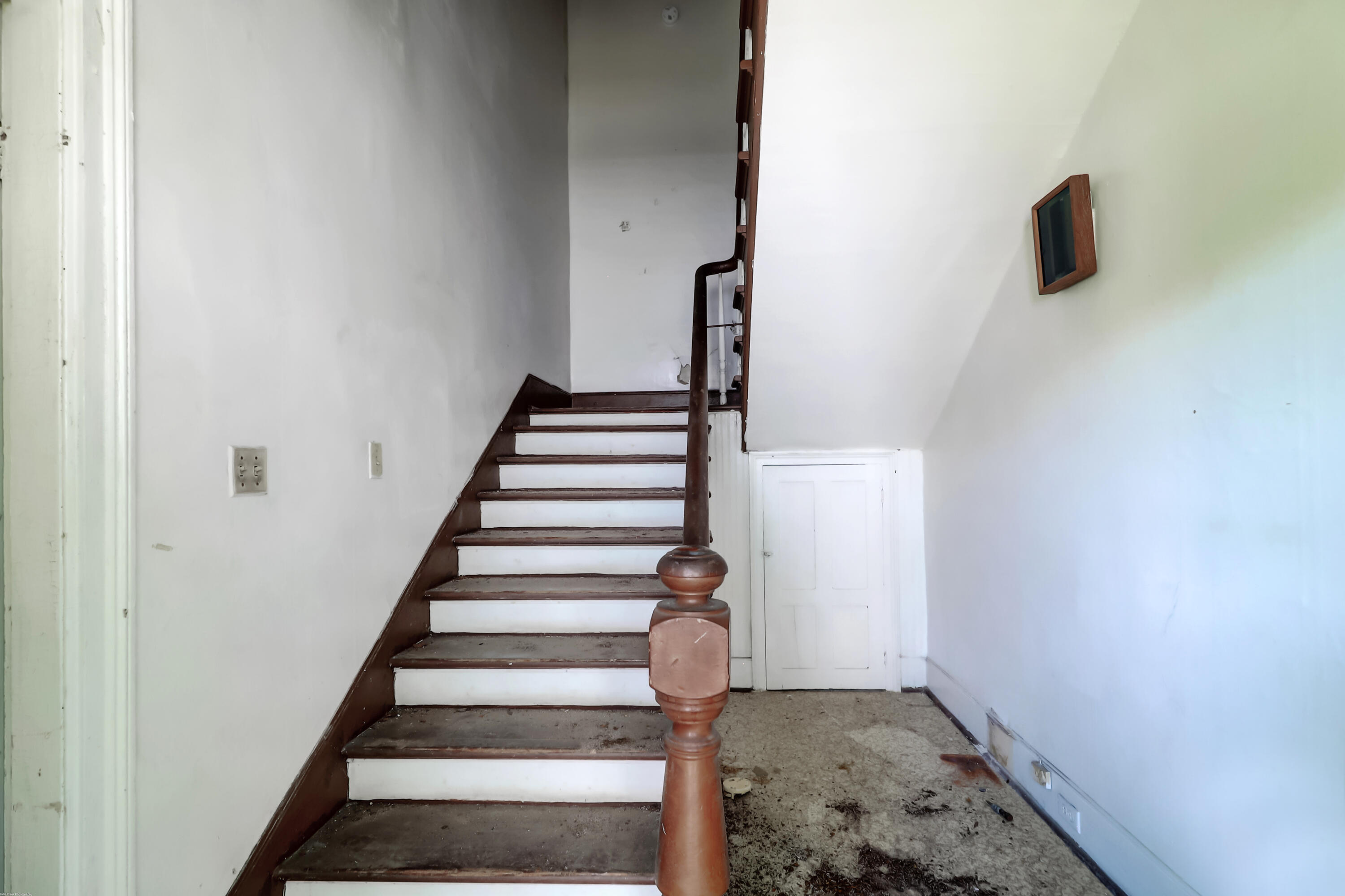 327 Sumter Street Charleston, SC 29403 - Photo 12 of 22 327 Sumter (15)