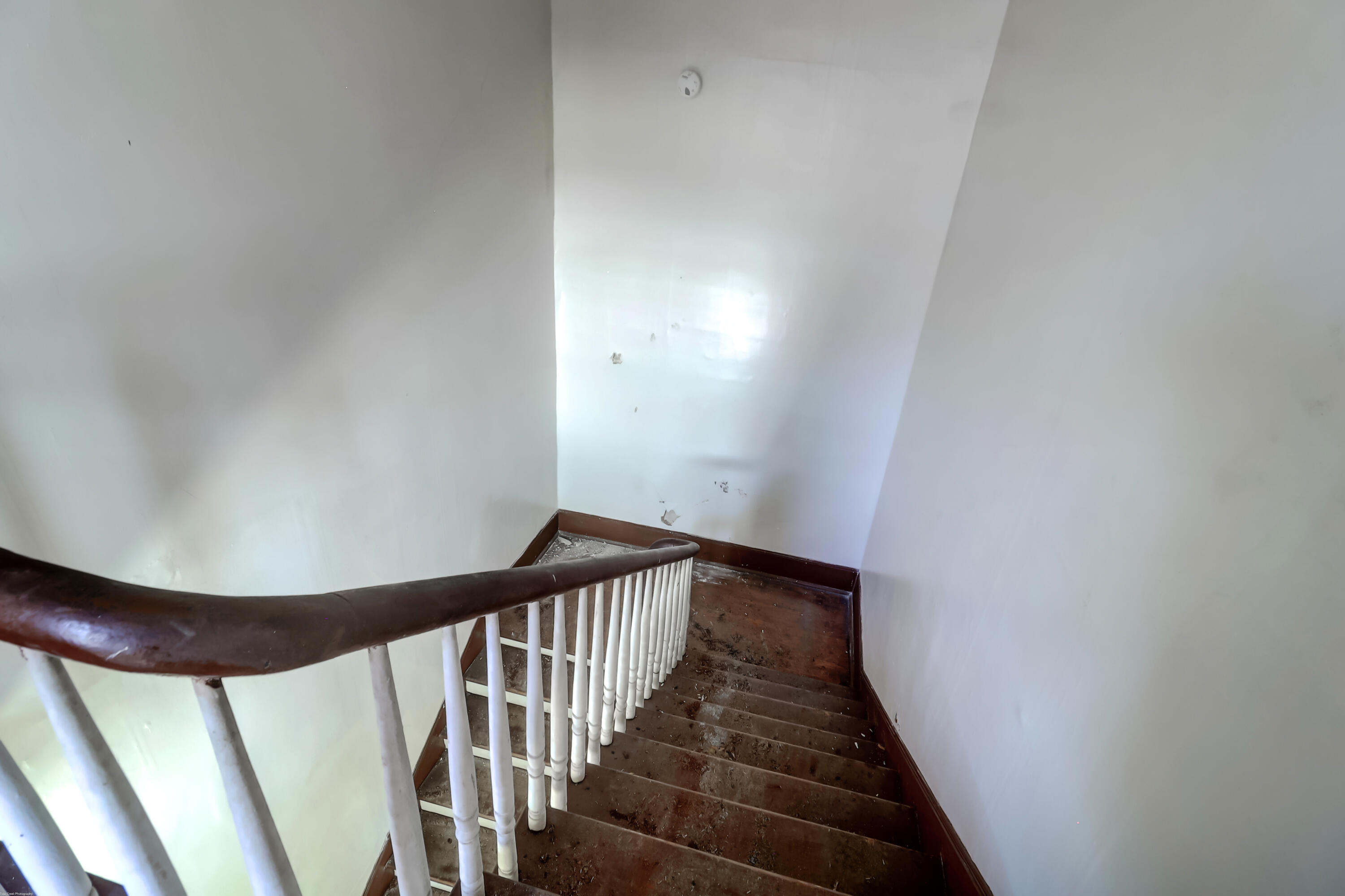 327 Sumter Street Charleston, SC 29403 - Photo 15 of 22 327 Sumter (17)