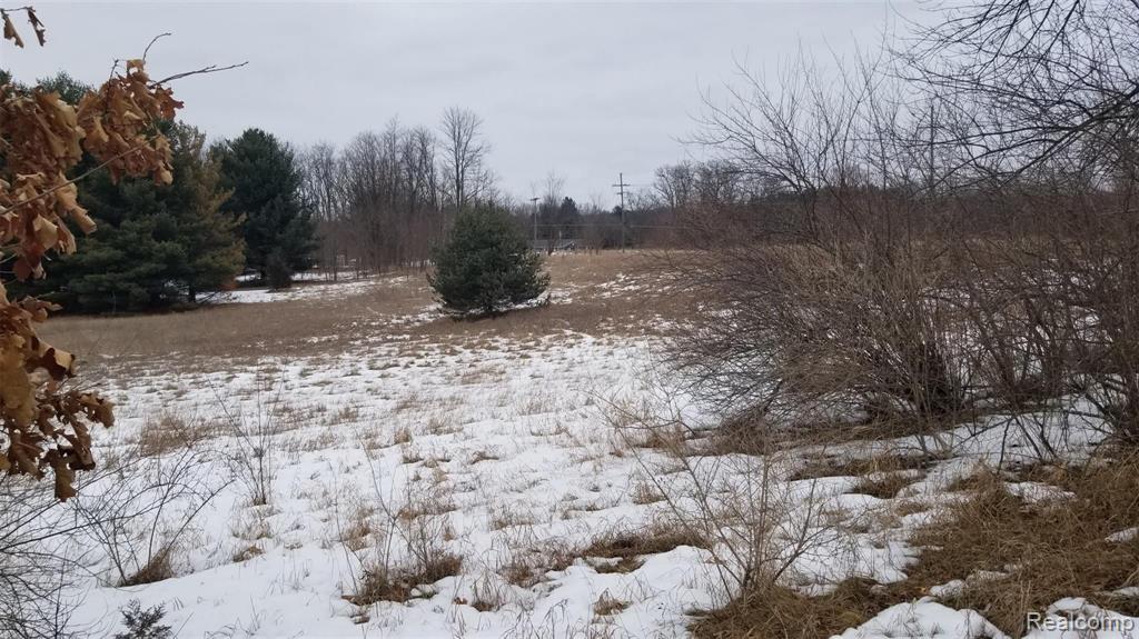 2 Dunham Road Hartland, MI 48353 - Photo 4 of 5