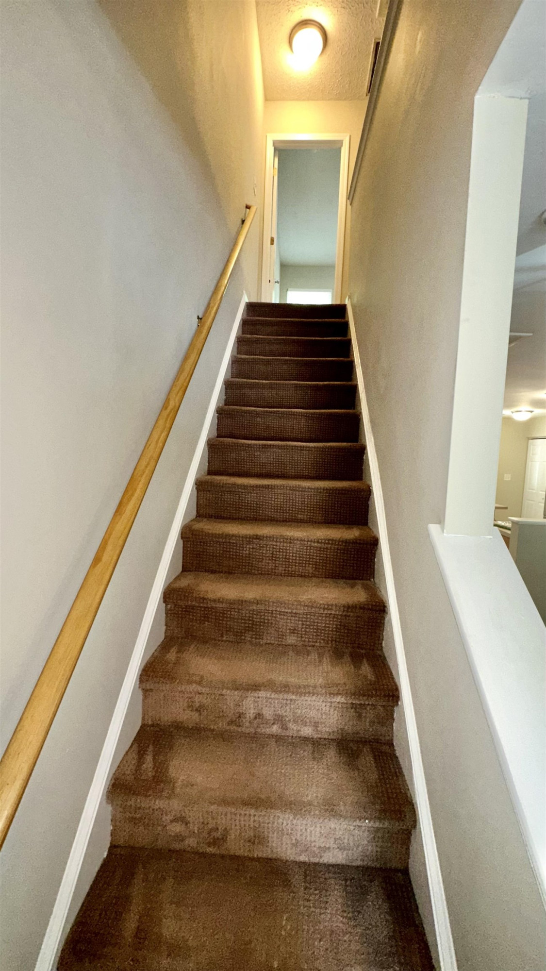 3362 Tarleton West Durham, NC 27713 - Photo 12 of 23 Photo 12