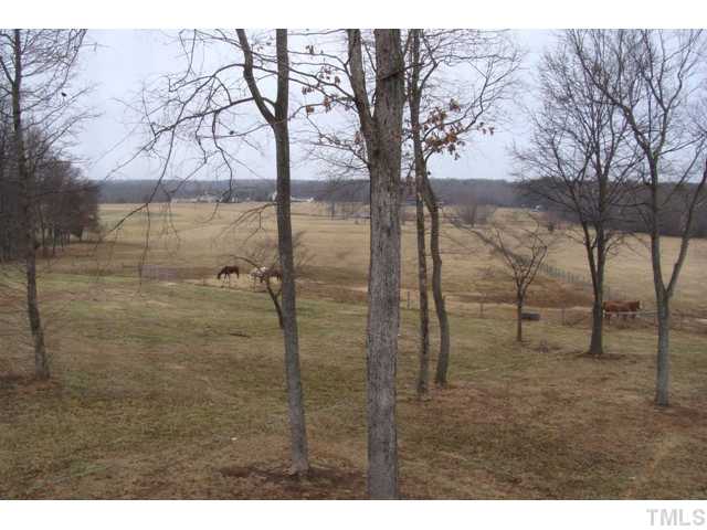 8930 Highway 57 Rougemont, NC 27572 - Photo 3 of 16 Pastures