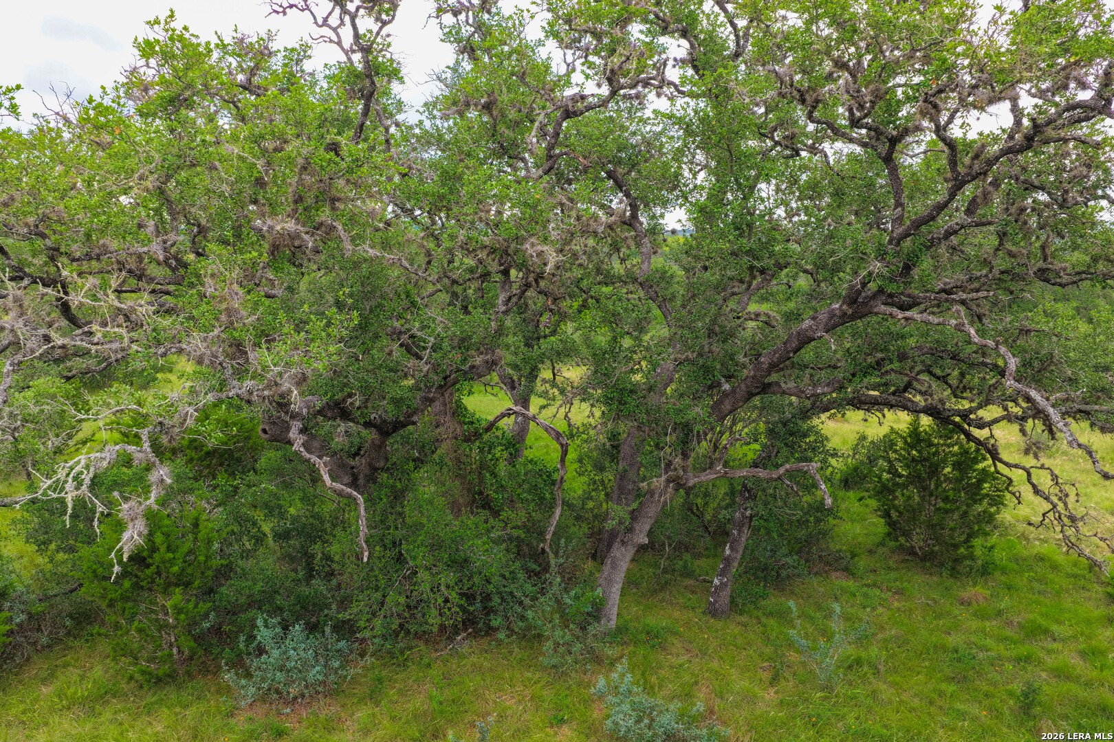 30 Acres /- Peaceful Valley Road Bandera, TX 78003 - Photo 14 of 32