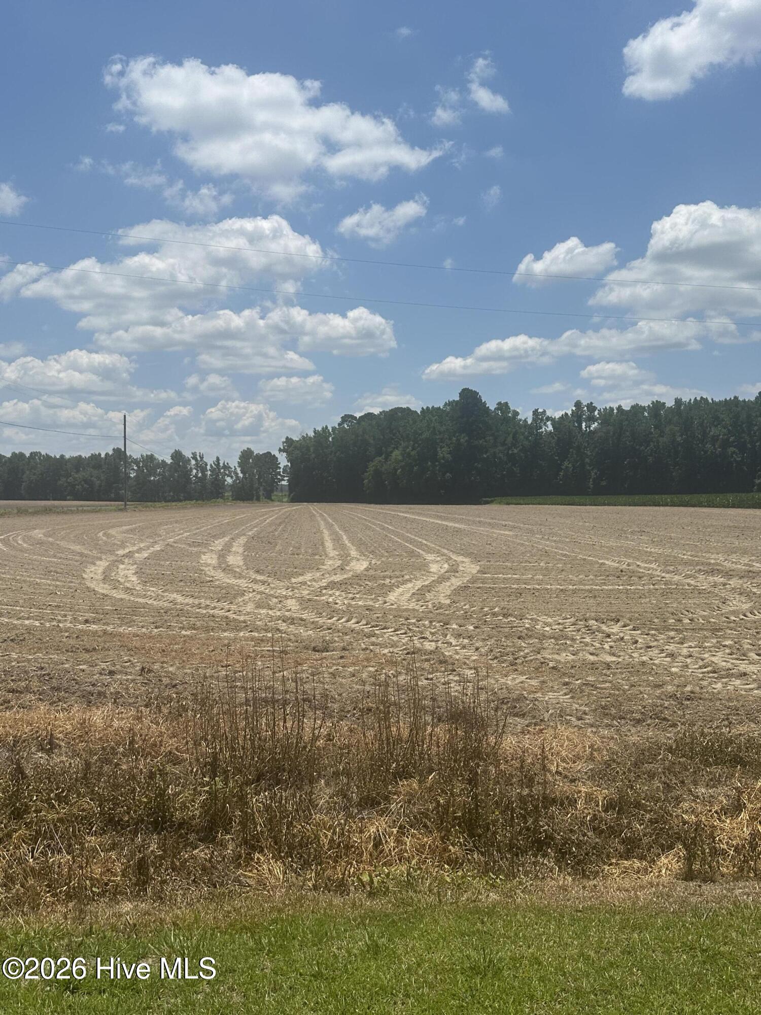 721 Joe Piver Road Chadbourn, NC 28431 - Photo 11 of 18