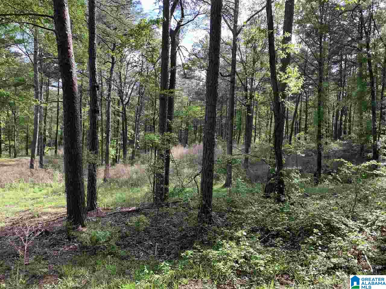 1585 Rex Lake Road, Unit 1585 Leeds, AL 35094 - Photo 11 of 16