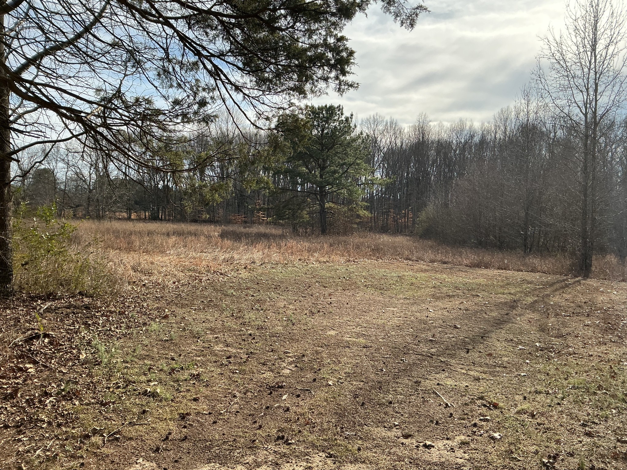 0 Union Hill Road Joelton, TN 37080 - Photo 2 of 2