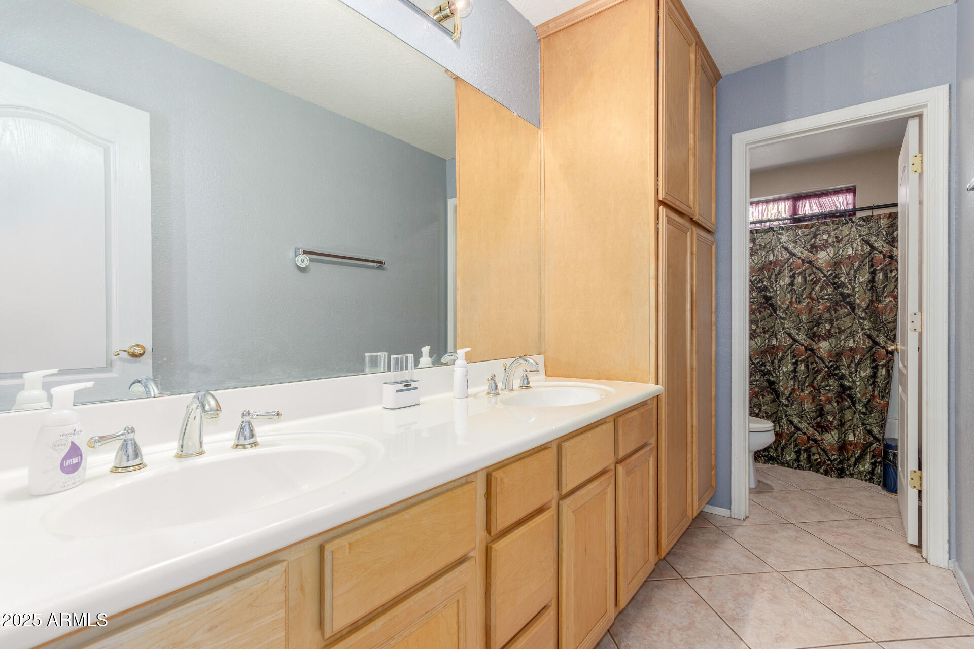 3060 East Hope Street Mesa, AZ 85213 - Photo 28 of 61 29 Hope Full bathroom