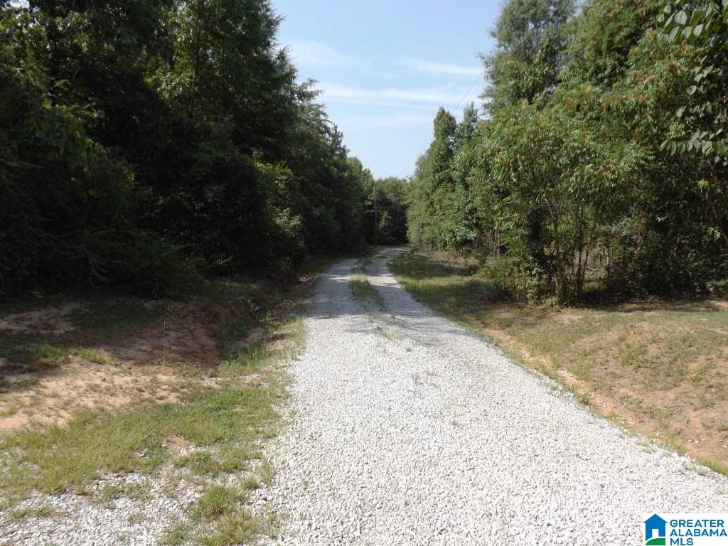 184 Cedar Springs Road West Blocton, AL 35184 - Photo 18 of 20