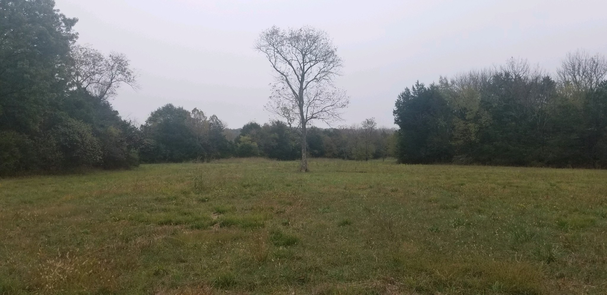 5 West Trimble Road Milton, TN 37118 - Photo 1 of 6 Gallery Image 1