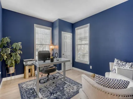 a living room with furniture a rug and a potted plant