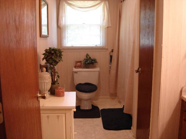122 Lick Creek Road Waterloo, SC 29384 - Photo 5 of 9