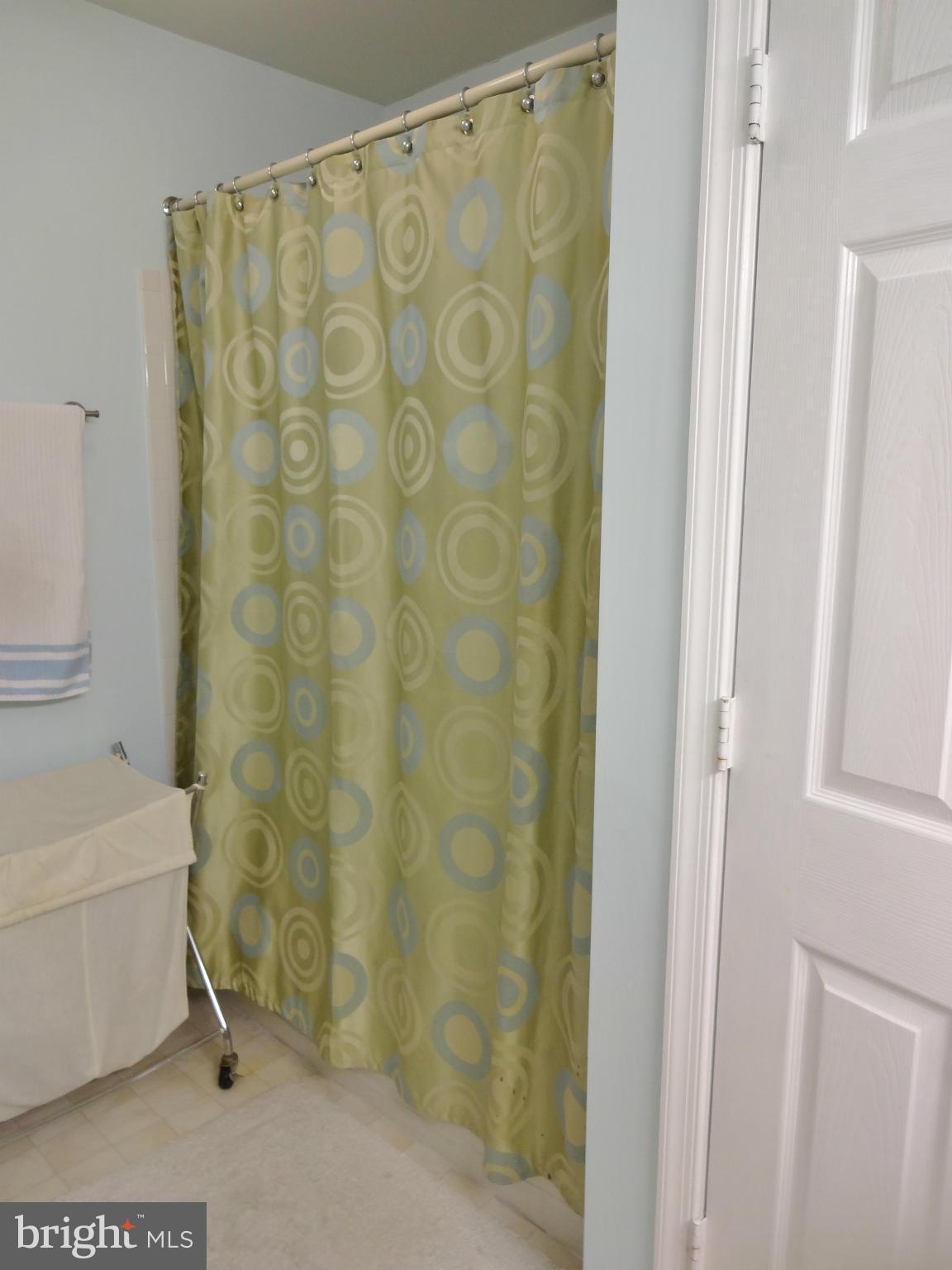 4508 Ingham Road Owings Mills, MD 21117 - Photo 14 of 19 Bath (Master)