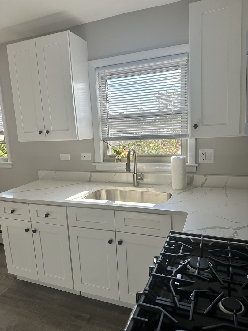 7538 Waukegan Road, Unit 1W Niles, IL 60714 - Photo 5 of 9 a kitchen with a sink and cabinets