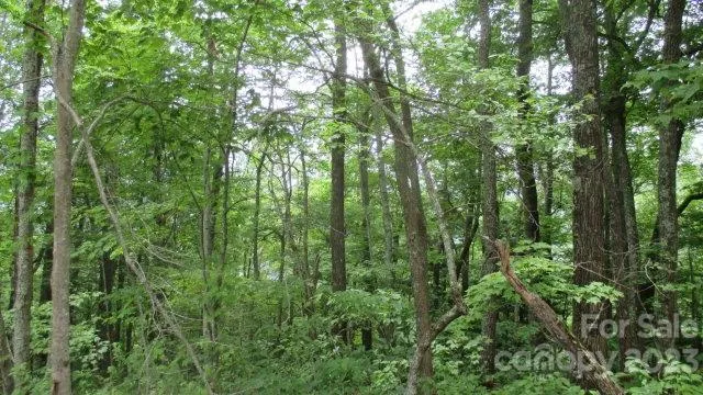 $112,000 | Lot 37 Deeplow Gap None None, Unit NONE, Bryson City, NC 28713